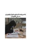 با سر و صدای توی خونه ؛ چجوری درس بخونم ؟