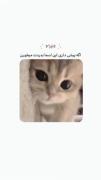 اگه پیشی داری این اسما بدردت می خوره 🐈