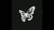  My favorite song she said she`s frome the islands 