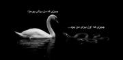 آخرش هرکار هم که بکنی ذات بعضیا عوض نمیشه🫱🏻‍🫲🏼