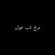 مرغ شب خوان‌‌ ‌ ‌ ‌ ‌ ‌ ‌ ‌ ‌ ‌ ‌