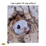 خدایا 😍چقد نازههه 🙊