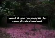 استوری تیکه دار حقیقت . . . .