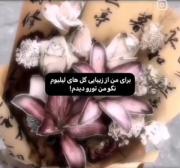 "🌺 𝐿𝒾𝓁𝒾𝑜𝓂 🌺" 