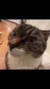 ^^معرفی پنج کیدراما ژانر اکشن^^