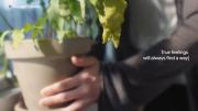 ببین تهیونگ چه کارایی می‌تونه بکنه
