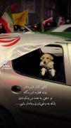 ای کاش...‌‌‌‌‌‌‌‌‌‌‌‌‌‌‌‌‌‌‌‌‌