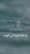 * هیچ کس نفهمید ....‌‌‌‌... *