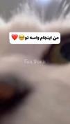  * وایییی چقدر پیشیه کیوت بود *