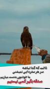 شاخ باش و قوی باشی،، دمت گرم آفرین داداش