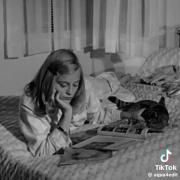 فکت: همه خوشگلا گربه دارن 😻..... 