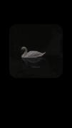 وفادارترین خواهم ماند تا پای جان..🤍🦢