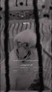 دلتنگتم:)کوچولویِ‌من😔🐣‍‍‍‍‍‍‍‍