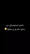 خیلی دوست دارم بیام پیشت آقا امام رضا یک روز هم من رو دعوت کن حرمت