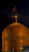 یا ضامن آهو دوست دارم و ببخشید ۸ سال نیومد پیشت🤍🥺