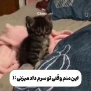 اوهوم . من هیلی دوست دارم موچولو.🥺🎀😂