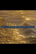 کدوم استخر رو انتخاب می کنی؟🌊🕯️
