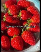 عاشق چیزاییم که قرمزن خیلییی خوشمزن😭🍓