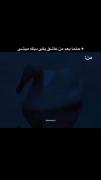 توضیح:قو فقط یک بار عاشق میشه..