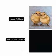 هیهی😆 الانم نزدیکه عید هستو همه دنبال عیدی😅(البته فک نکنم عیدی باش