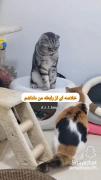 خلاصه ای‌از‌رابطه‌منو‌داداشم🤣🤣