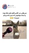 کیا این وضعیت براشون پیش اومده؟ فالو کننننننن