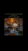 در سیاهی شب درخشیدن هنر است.....