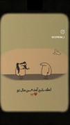 سکه انداختم،راضی شدی؟...........