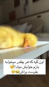اون کیه که همیشه خوابش میاد؟؟؟ 