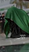 خستم از همه الا خود حسین..... 