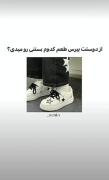 از دوستت بپرس طعم کدوم بستنی رو میدی؟