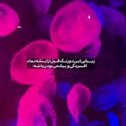 قبل از اینکه نماد پیکمی و افسردگی بودن باشه... 