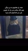 ولی من همشونو یادم میره👍 👍 👍 