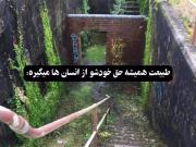 طبیعت همیشه حق خودشو از انسان ها میگیره! 