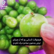 برادر آخه چجوری میتونی به اینا بگی نه؟ 