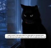 عاشق چیزایی ام که بقیه بدشون میاد:) 