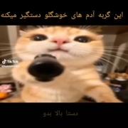 ᨮׁׅ֮ᨵׁׅׅυׁׅ˖ ݁𖥔 ݁˖ 𐙚 ˖ ݁𖥔 ݁˖ 🫵⭐🌀
