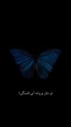 زیبایی مطلق به معنای واقعی ⁦(⁠ ⁠ꈍ⁠ᴗ⁠ꈍ⁠)⁩