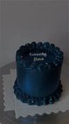 کیک با زیباترین رنگ دنیا 🍰🥮🫐💙