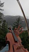 صدای بهشتی ویالن با منظره طبیعت 🥹🌳🎻