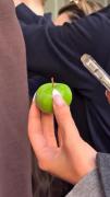 خلاقیت و پول جارو کردن با سیب🫠🍏🍏🍏🍏