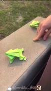 کاردستی قورباغه ۳بعدی ..،🐸. .