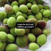کمتر از یه ماه مونده تا اومدن این شاهکارررر💚✨️