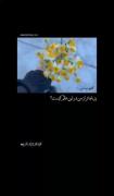 دٍوٌسِـتٌـأّنِ حًمًأّیتٌـ کنِیدٍ فُـأّلَوٌ کأّمًنِتٌـ لَأّیک یأّدٍتٌ