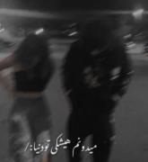 هیشکی تو دنیا برا من تو نمیشه.