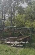 اقا جدی بودن به ما نیومده 😂😂