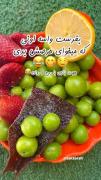 وایووو ویوووورهرهههه ملچ مولوچ میکند
