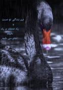 فریبنده زاده شو و فریبا بمیر...