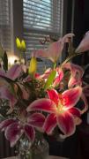 This flower is...........so ..this so....