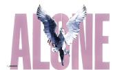 ♬♪my life★...........:)....... 